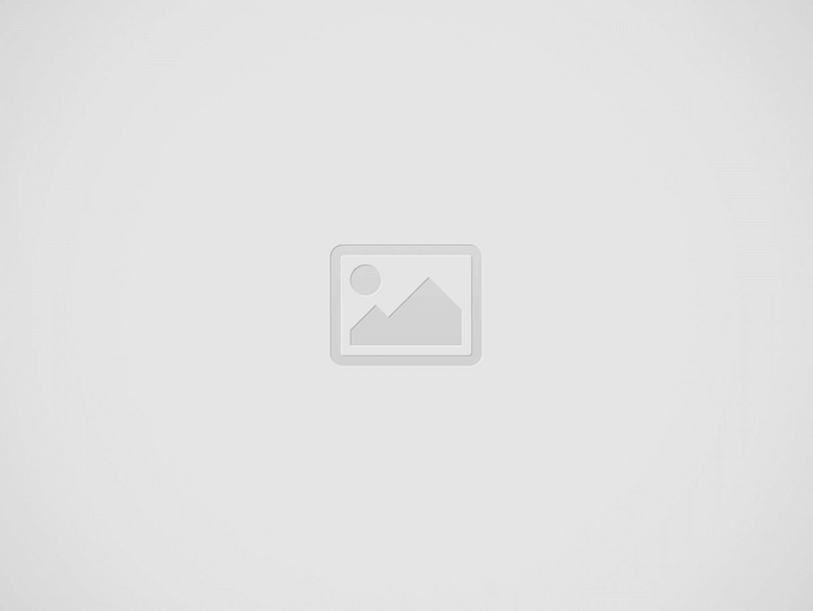 expert-comptable a Arles-cabinet d'expertise comptable a Arles-comptabilite a Arles-conseil juridique dans les Bouches-du-Rhone-cabinet comptable a Arles